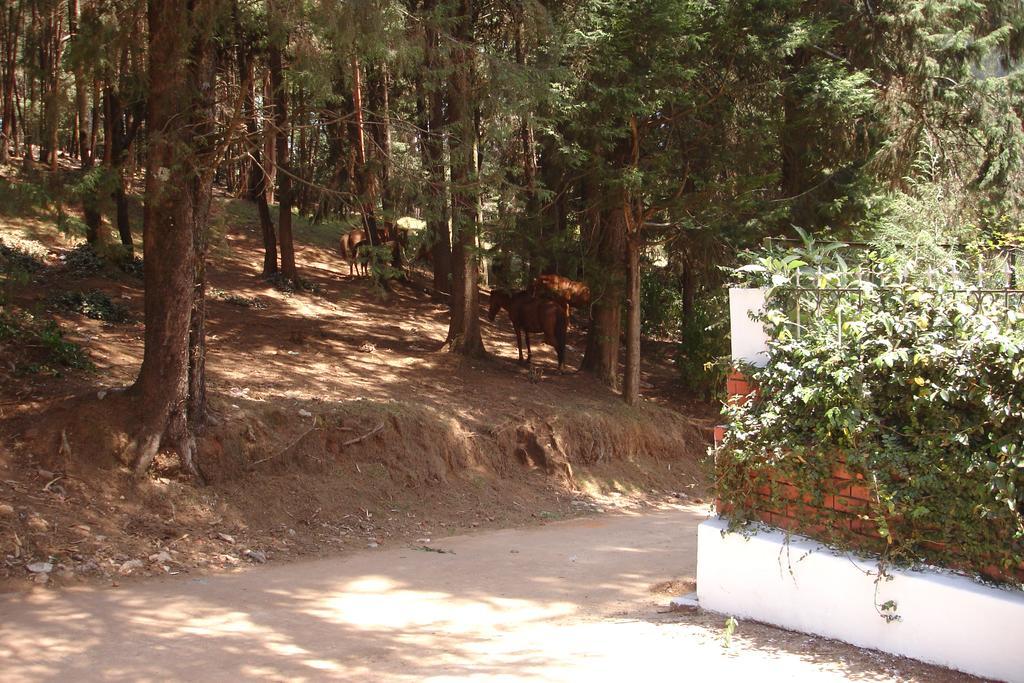 The Red House Bed & Breakfast Ooty Dış mekan fotoğraf