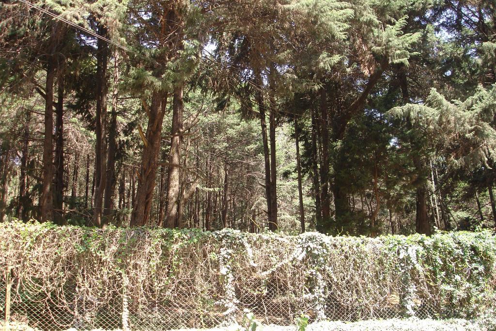 The Red House Bed & Breakfast Ooty Dış mekan fotoğraf