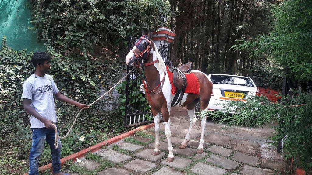 The Red House Bed & Breakfast Ooty Dış mekan fotoğraf